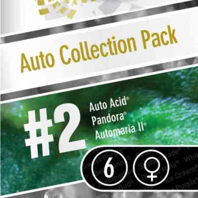 Auto Collection Pack #2 > Paradise Seeds