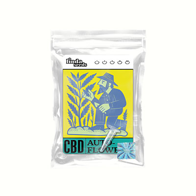 Autoflower CBD graines > Linda Seeds | Graines de CBD  |  Hybride