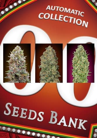 Automatic Collection #1 > 00 Seeds Bank | Graines Autofloraison  |  Indica