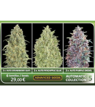 Automatic Collection #5 > Advanced Seeds | Graines Autofloraison  |  Hybride