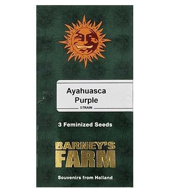 Ayahuasca Purple > Barneys Farm | Semillas feminizadas  |  Índica