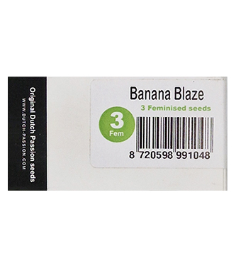 Banana Blaze > Dutch Passion | Feminisierte Hanfsamen  |  Indica