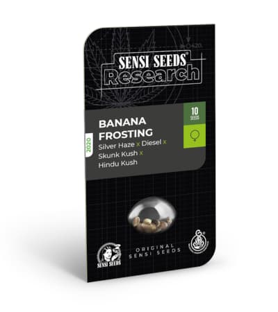 Banana Frosting > Sensi Seeds | Feminized Marijuana   |  Indica