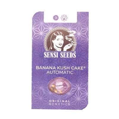 Banana Kush Cake Automatic > Sensi Seeds | NOS RECOMMANDATIONS DE GRAINES DE CANNABIS  |  TOP 10 Auto Flowering