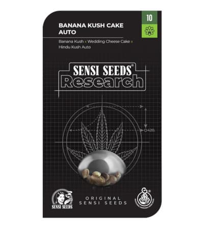 Banana Kush Cake Automatic > Sensi Seeds | Recommandations sur les graines de cannabis  |  TOP 10 Auto Flowering