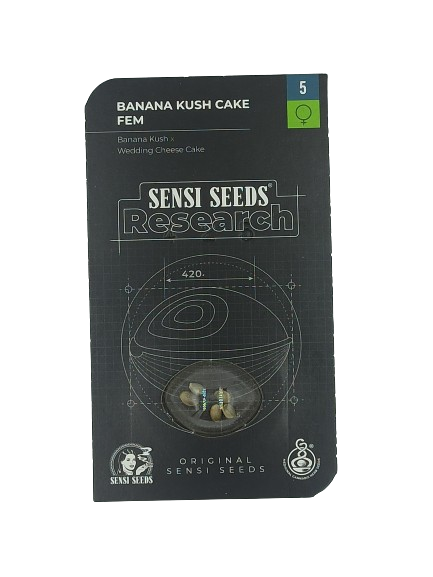 Banana Kush Cake > Sensi Seeds | NUESTRAS RECOMENDACIONES DE SEMILLAS DE MARIHUANA  |  TOP 10 feminizadas