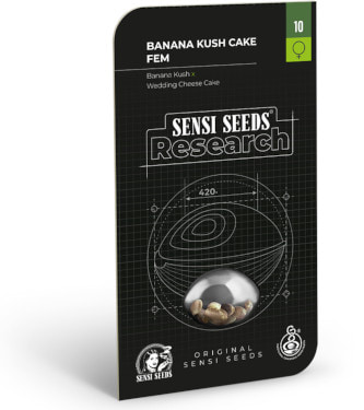 Banana Kush Cake > Sensi Seeds | Feminisierte Hanfsamen  |  Hybrid