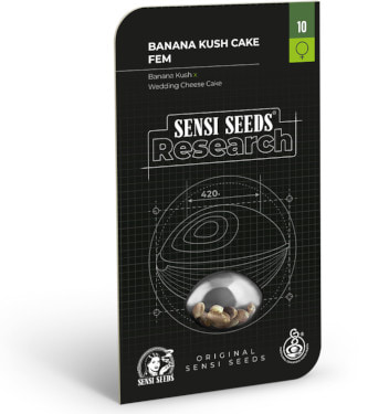 Banana Kush Cake > Sensi Seeds | Cannabis seeds recommendations  |  TOP 10 Feminized