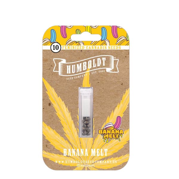 Banana Melt > Humboldt Seed Company | Graines Féminisées  |  Sativa