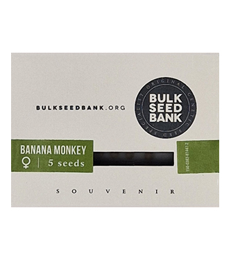 Banana Monkey > Bulk Seed Bank | Feminisierte Hanfsamen  |  Indica
