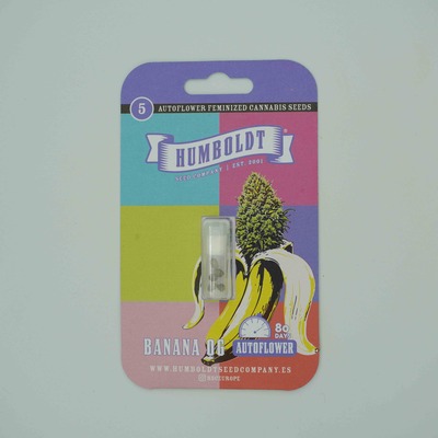 Banana OG > Humboldt Seed Company | Graines Féminisées  |  Sativa