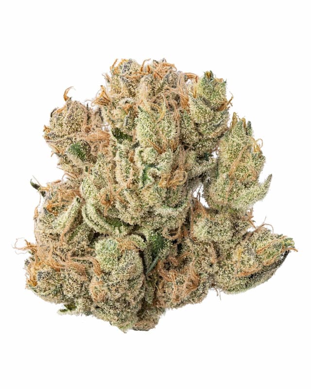 Banana Pil Pil Seed > Bask Triangle Farms | Feminized Cannabis   |  Indica