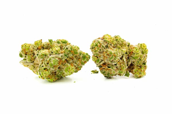 Banana Punch Seed > Vision Seeds | Feminized Cannabis   |  Indica