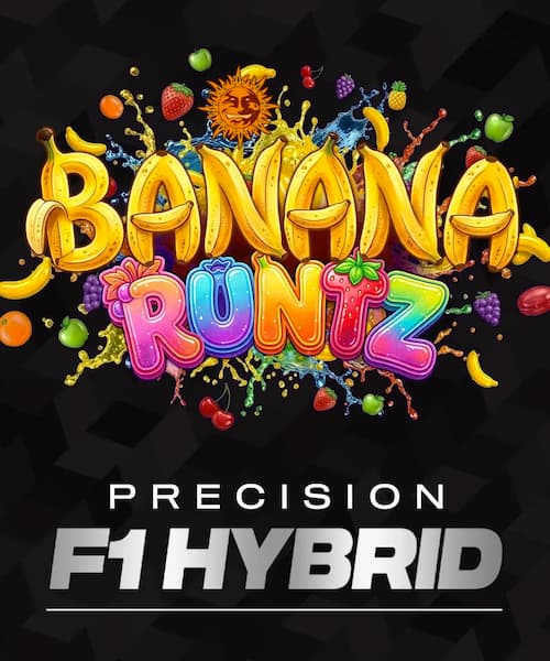 Banana Runtz Seed > Barney\'s Farm | Feminized Cannabis   |  Hybrid