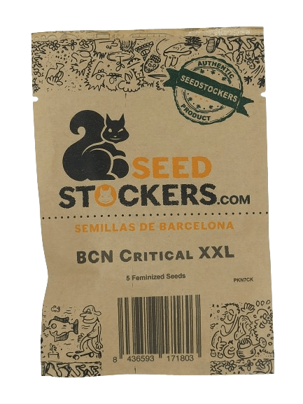 BCN Critical XXL > Seed Stockers | Feminisierte Hanfsamen  |  Hybrid
