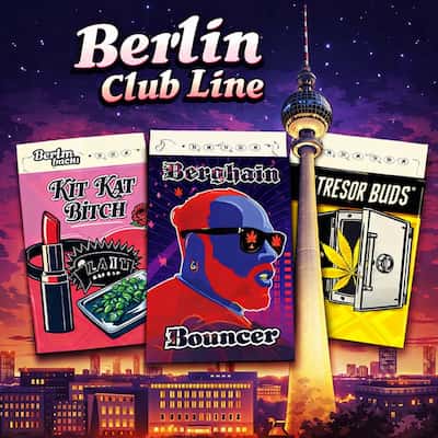 Cannabis seeds recommendations | Berlin Club Line