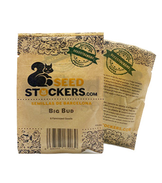 Big Bud > Seed Stockers | Feminisierte Hanfsamen  |  Hybrid