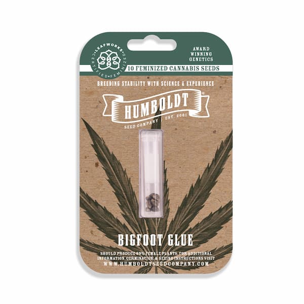Bigfoot Glue > Humboldt seed Company | Graines Féminisées  |  Sativa