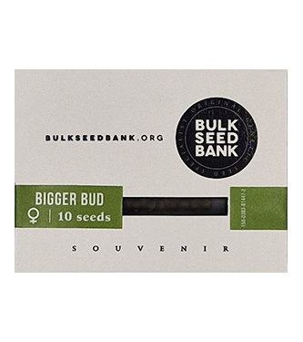 Bigger Bud > Bulk Seed Bank | Feminisierte Hanfsamen  |  Hybrid