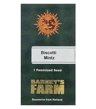 Biscotti Mintz > Barneys Farm | Feminisierte Hanfsamen  |  Indica