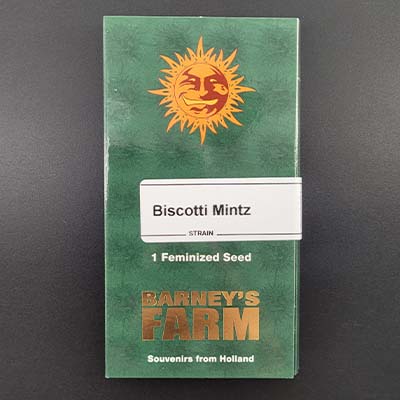 Biscotti Mintz > Barneys Farm | Semillas feminizadas  |  Índica
