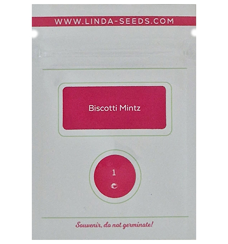 Biscotti Mintz > Linda Seeds | Hanfsamen Empfehlungen  |  Günstige Hanfsamen