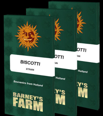 Biscotti > Barneys Farm | Feminisierte Hanfsamen  |  Indica