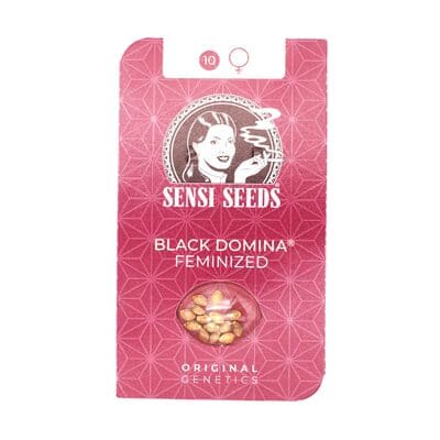 Black Domina > Sensi Seeds | Feminisierte Hanfsamen  |  Indica