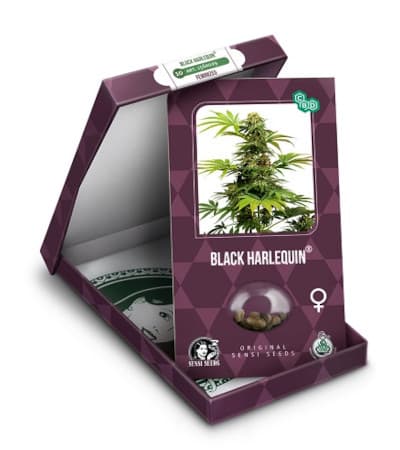 Black Harlequin > Sensi Seeds | CBD cannabis seeds  |  Hybrid