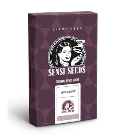 Black Harlequin > Sensi Seeds | Graines de cannabis médical CBD  |  Hybride