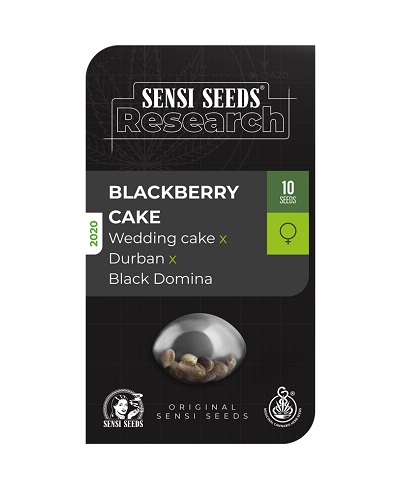 Blackberry Cake > Sensi Seeds | Semillas feminizadas  |  Indica