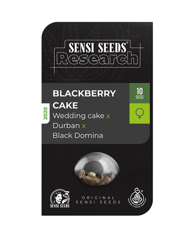 Blackberry Cake > Sensi Seeds | Feminized Marijuana   |  Indica