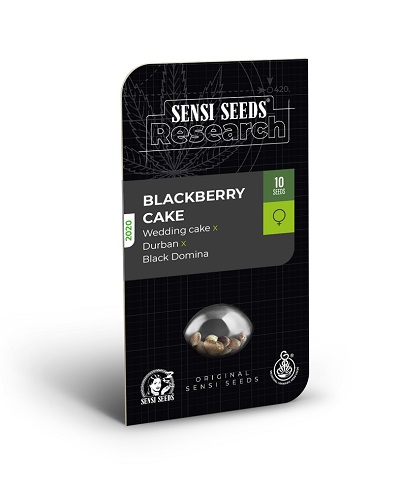 Blackberry Cake > Sensi Seeds