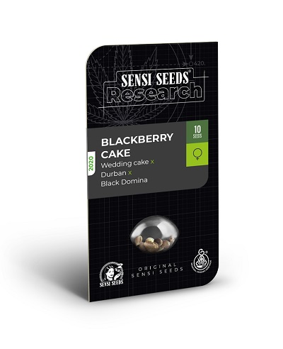 Blackberry Cake > Sensi Seeds | Graines Féminisées  |  Indica