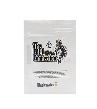 Blackwater > The Cali Connection | Feminized Marijuana   |  hybrid