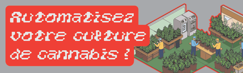 Salles de culture intelligentes : automatisation de la culture du cannabis à domicile