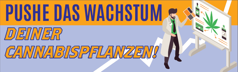 Wurzel- und Blüten-Stimulatoren bei Cannabis – So nutzt du Wachstums-Booster effektiv