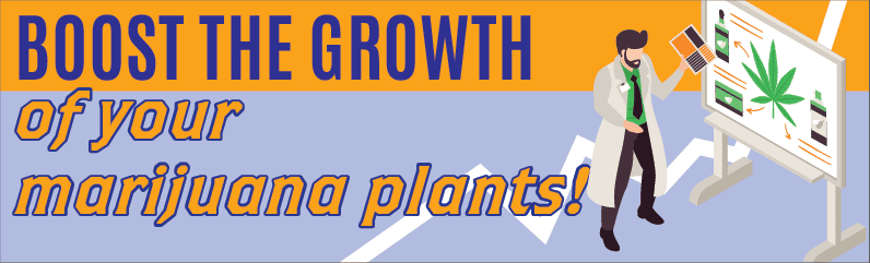 Root and Flower Stimulators: How to Boost Cannabis Growth Effectively