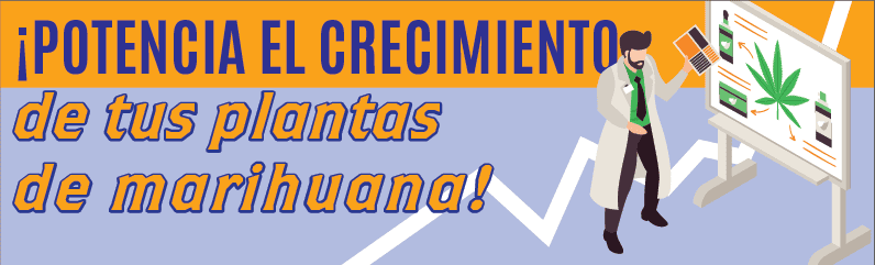 Estimuladores de raíces y floración: la guía completa para potenciar el cultivo de marihuana
