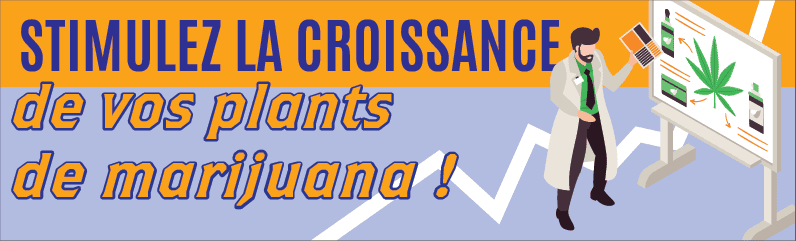Stimulateurs racinaires et de floraison : comment optimiser la croissance du cannabis