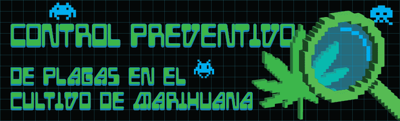 Prevención de plagas en el cultivo de cannabis – la estrategia completa para plantas sanas