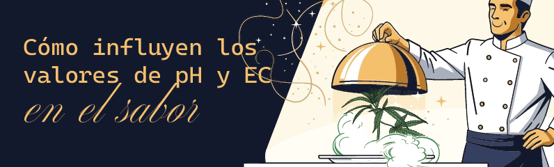 Influencia de los valores de pH y EC en el sabor de la hierba Influencia de los valores de pH y EC en el sabor de la hierba