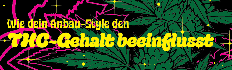 Wusstest du, dass dein Anbaustil den THC-Gehalt beeinflusst?