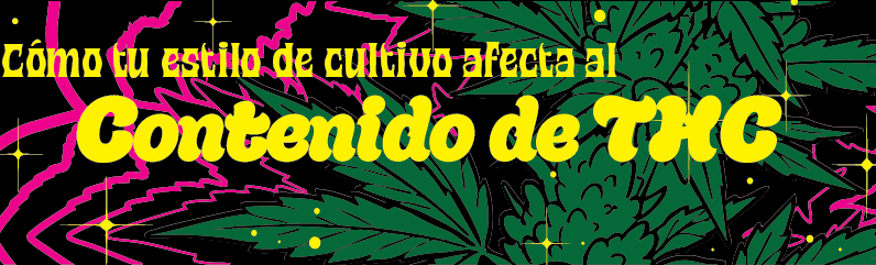 ¿Sabías que tu estilo de cultivo afecta al contenido de THC? ¿Sabías que tu estilo de cultivo afecta al contenido de THC?