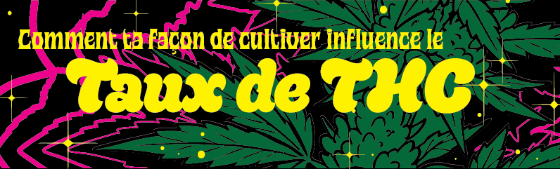 Tu savais ça ? Ta façon de cultiver influence le taux de THC.