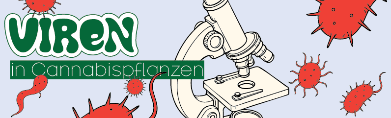 Cannabis-Viren (HLVd, TMV & Co.) – Viren in Cannabispflanzen erkennen, testen & vermeiden