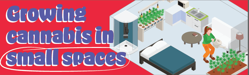 Balcony Cannabis Growing in Containers – Complete Guide for High Yields in Small Spaces