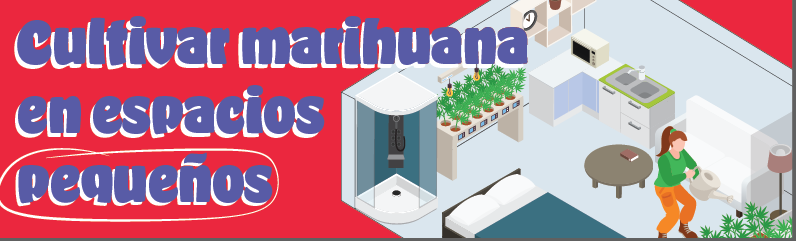 Cultivo de marihuana en balcón y en maceta – guía completa para cosechas abundantes en poco espacio