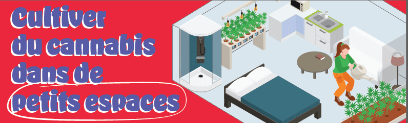 Cultiver du cannabis sur le balcon et en pot – guide complet pour les petits espaces