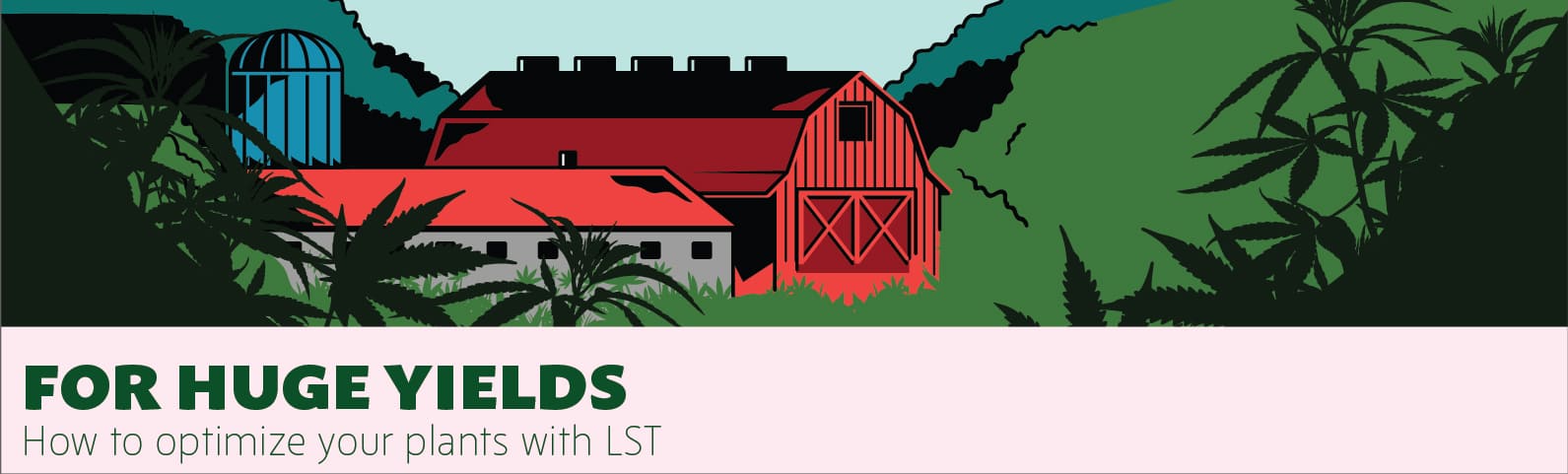 Low Stress Training (LST) - benefits for your plants Low Stress Training (LST) - benefits for your plants